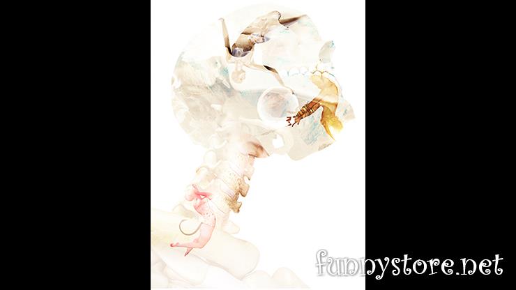 (image for) Fraser Parker - Ghost Card