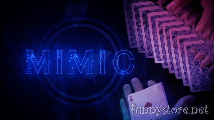 (image for) SansMinds Creative Lab - Mimic