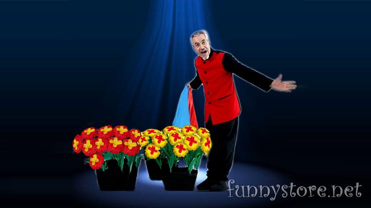 (image for) Tora Magic - Dance of Flowers