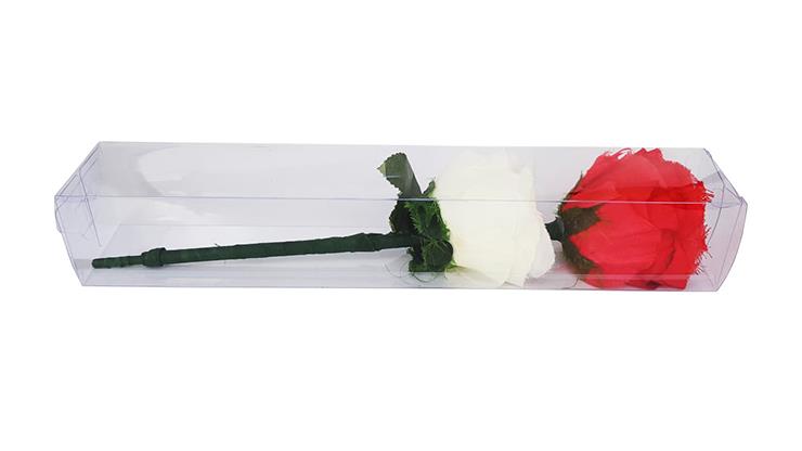 (image for) JL Magic - Color Changing Rose