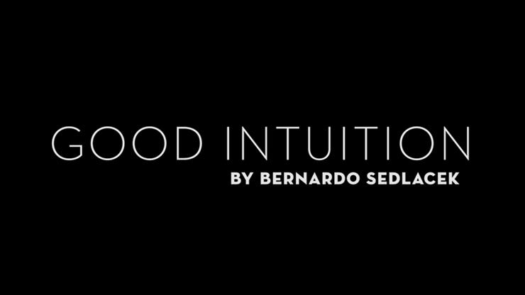 (image for) Bernardo Sedlacek - Good Intuition