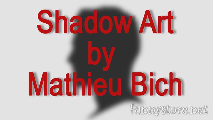 (image for) Mathieu Bich - Shadow Art