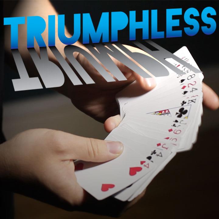 (image for) Francis Menotti - Triumphless Triumph