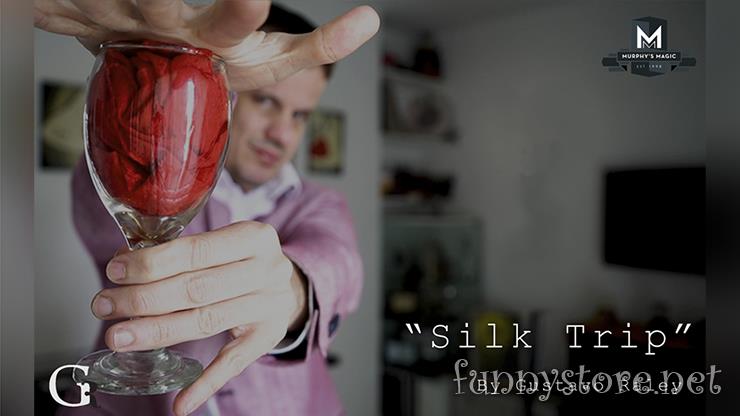 (image for) Gustavo Raley - Silk Trip