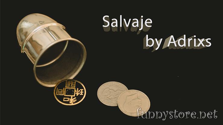 (image for) Adrixs - Salvaje