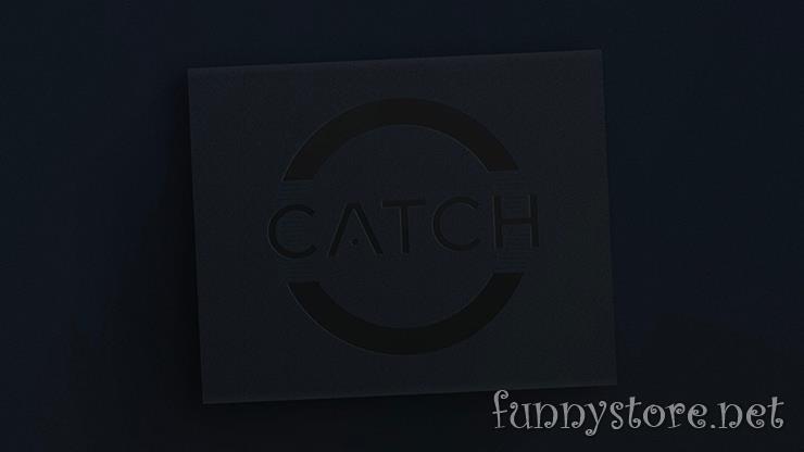 (image for) Vanishing Inc - Catch