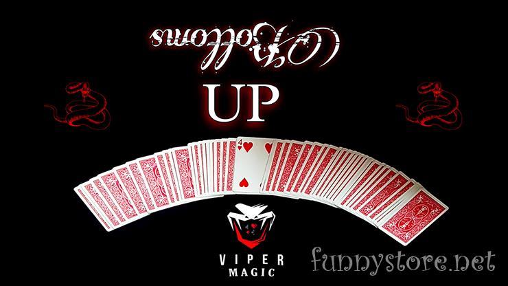 (image for) Viper Magic - Bottoms UP