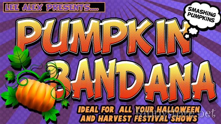 (image for) Lee Alex - PUMPKIN BANDANA