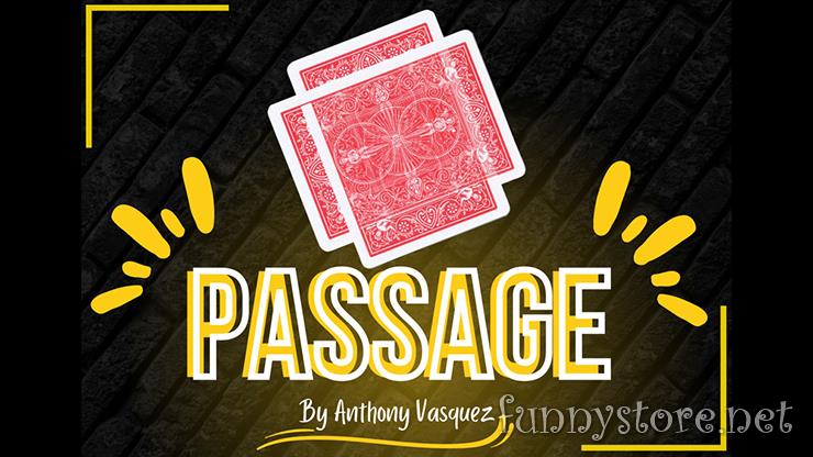 (image for) Anthony Vasquez - Passage