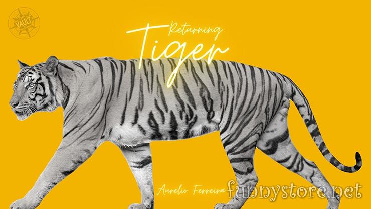 (image for) Aurelio Ferreira - The Vault - Returning Tiger