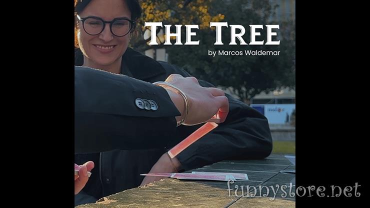 (image for) Marcos Waldemar & Invisible Compass - THE TREE