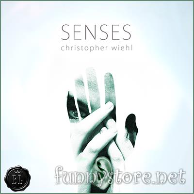 (image for) Christopher Wiehl - Senses