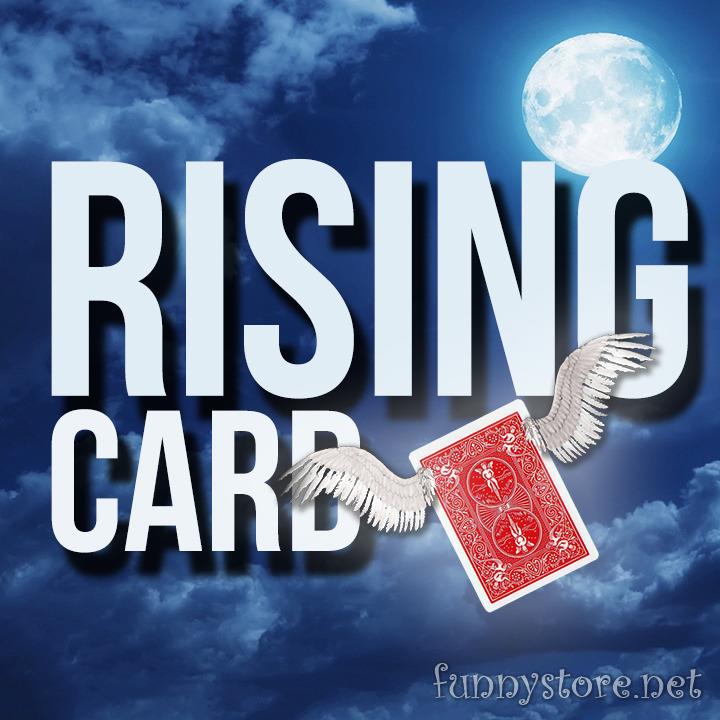 (image for) Daryl - Rising Card