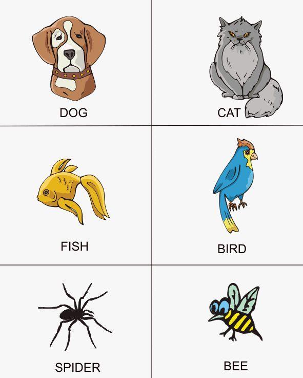 (image for) Paul Voodini - Pet Readings 4 Mind-Readers