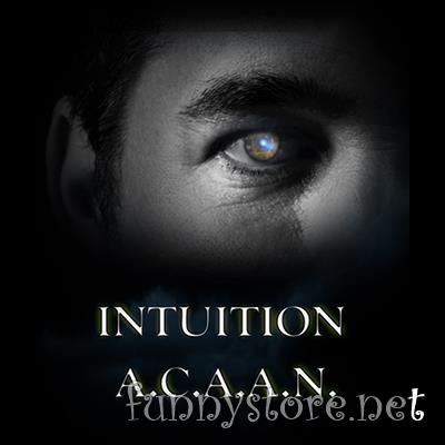 (image for) Brad Ballew - Intuition ACAAN