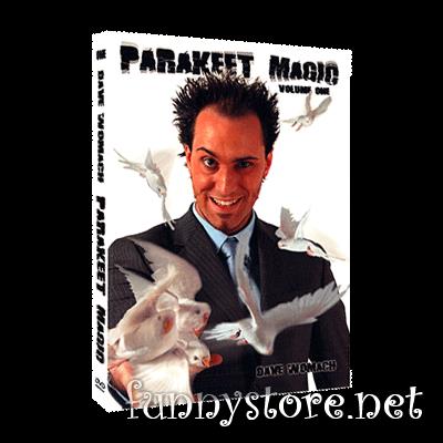 (image for) Dave Womach - Parakeet Magic