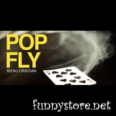 (image for) Bizau Cristian - Pop Fly