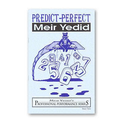 (image for) Meir Yedid - Predict Perfect