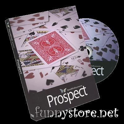 (image for) SansMinds - Prospect
