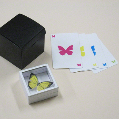 Tenyo - Magic Butterfly (2015) (image for) Tenyo - Magic Butterfly (2015)
