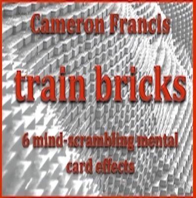 (image for) Cameron Francis - Train Bricks (DVD)