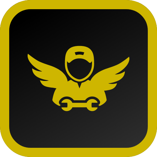 (image for) Joshua Riley & Mark Lemon - Wingman Pro (Video)