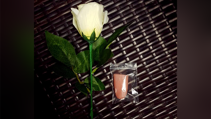 (image for) JL Magic - Rose Light set