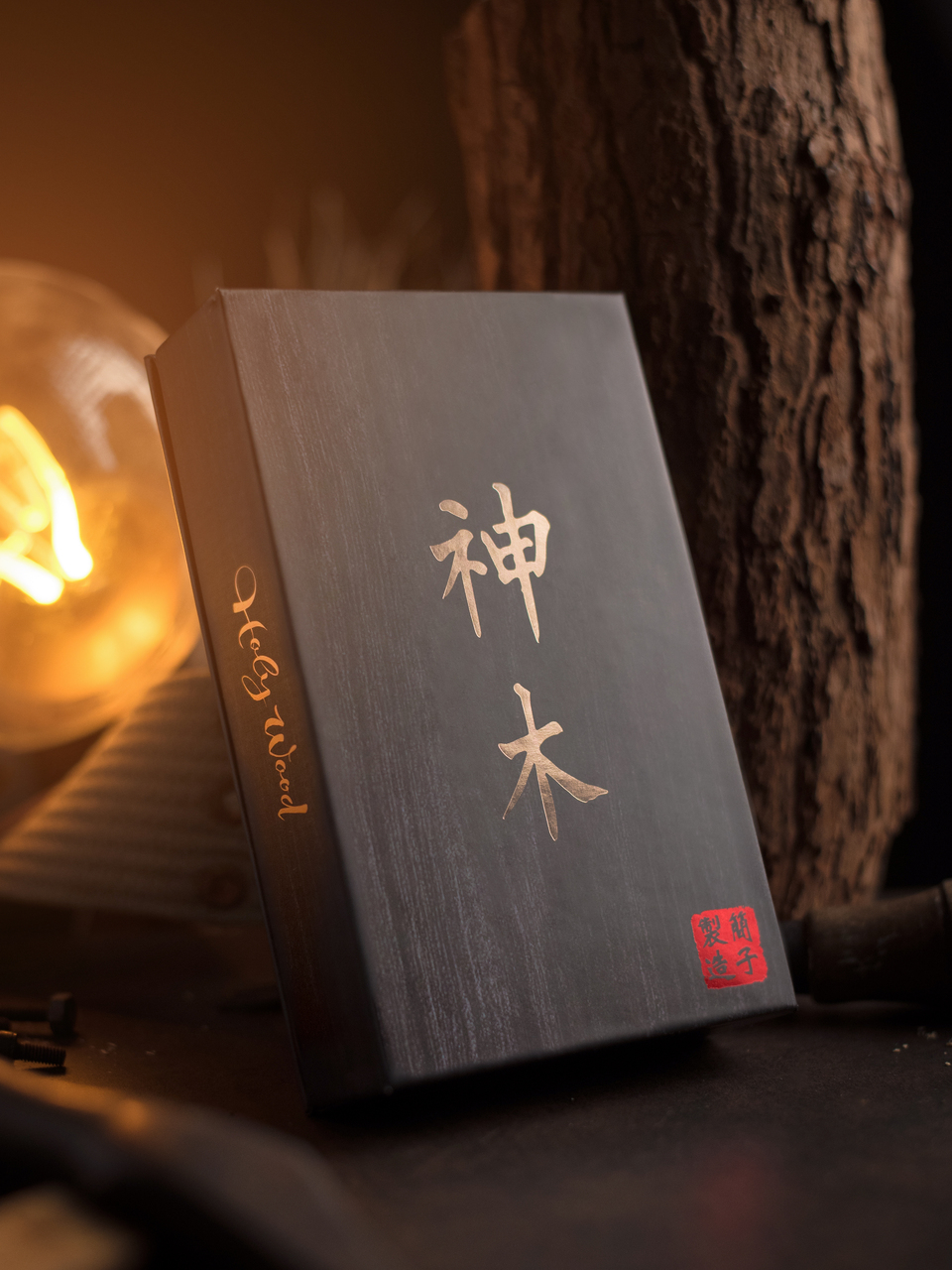 (image for) Hanson Chien - Holy Wood