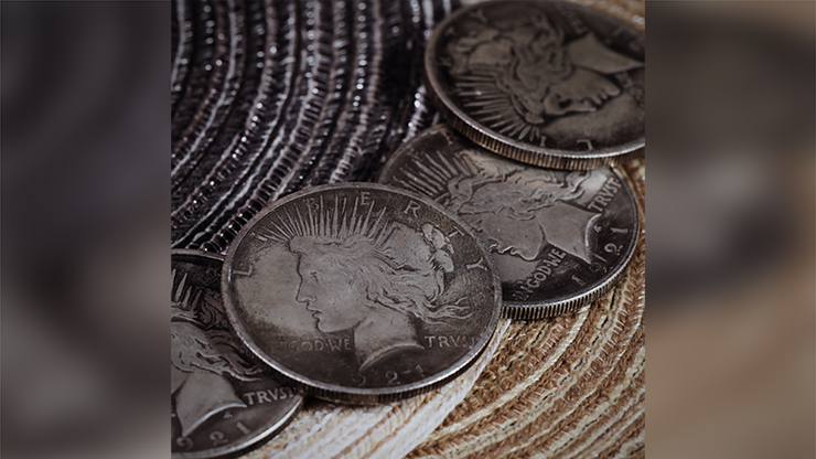 (image for) N2G - CS Peace Dollar