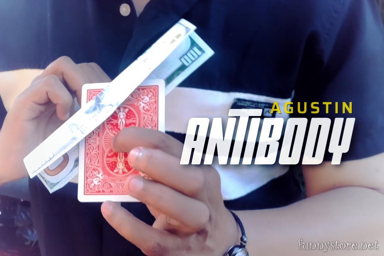 (image for) Agustin - Antibody