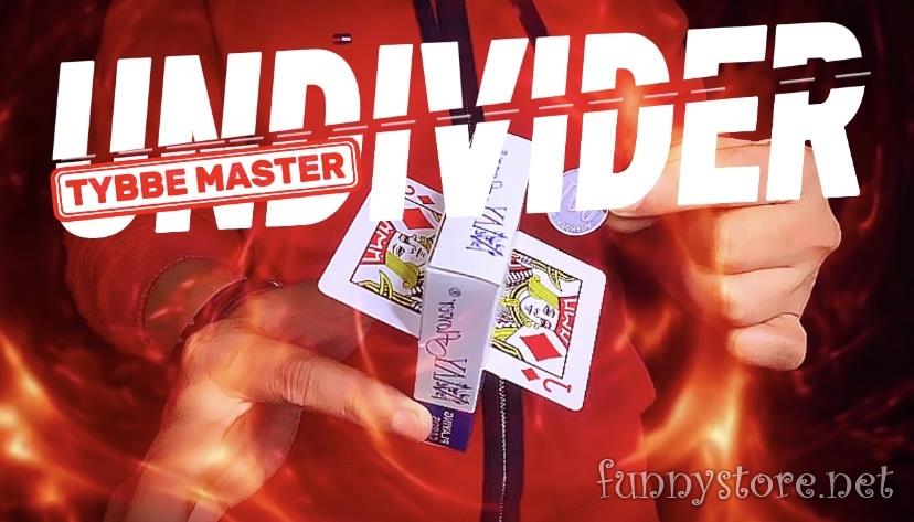 (image for) Tybbe master - Undivider