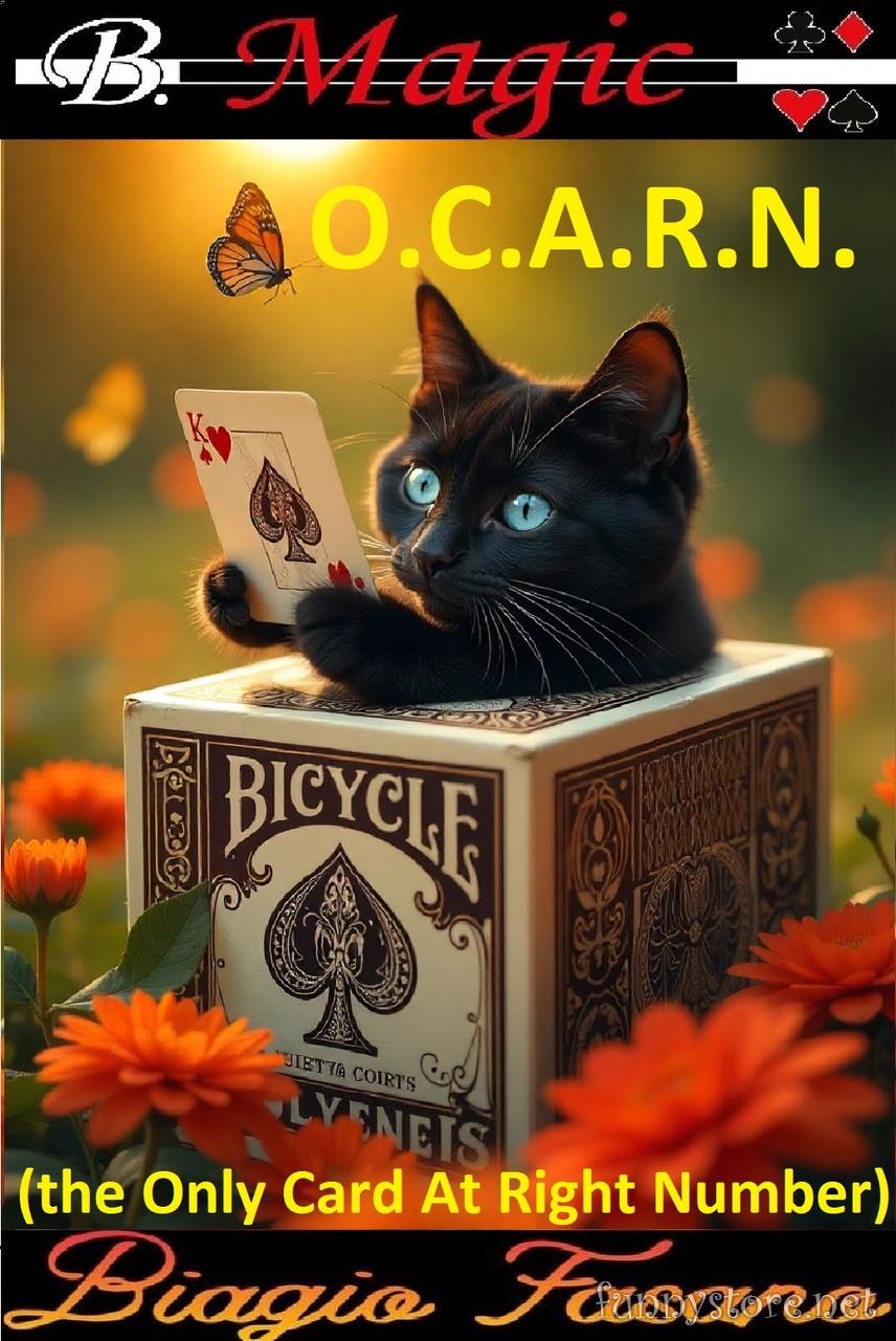 (image for) Biagio Fasano (B. Magic) - O.C.A.R.N.: the Only Card At Right Number