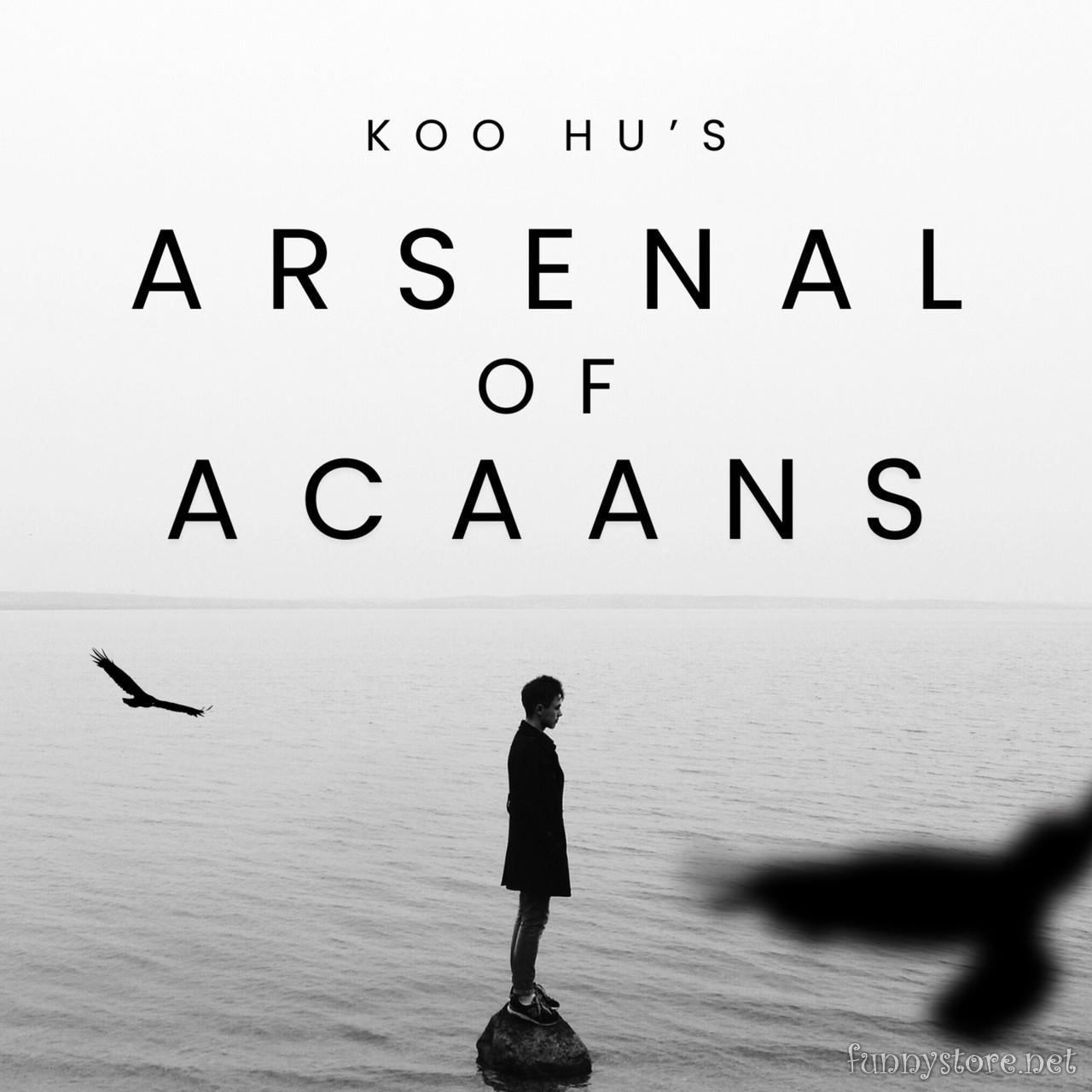 (image for) Koo Hu - Arsenal of ACAANs