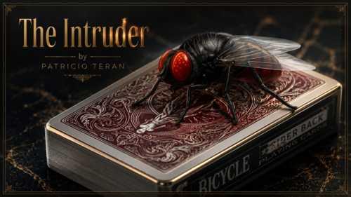 (image for) Patricio Teran - The Intruder