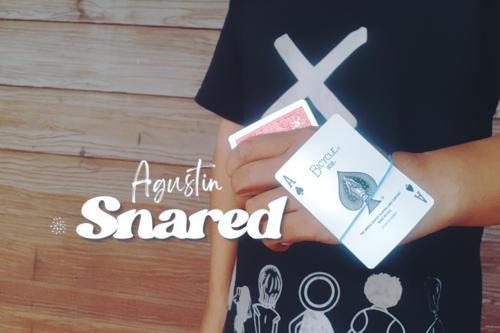 (image for) Agustin - Snared