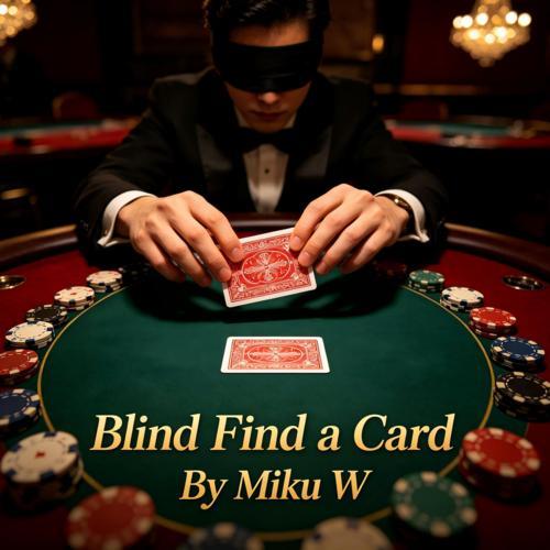 (image for) Miku W - Blind Find a Card