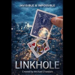 (image for) Mickael Chatelain - LINKHOLE (English+French)