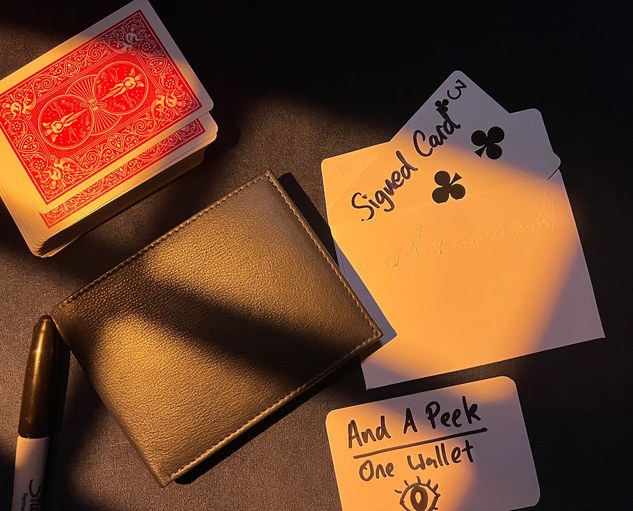 (image for) Secret Tannery - The Virtuoso Wallet