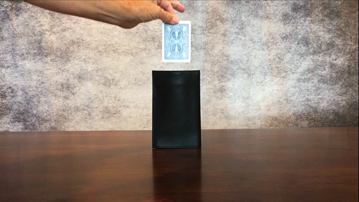 David Regal and Larry Wilmore - Larry Wilmore's Gravity Wallet