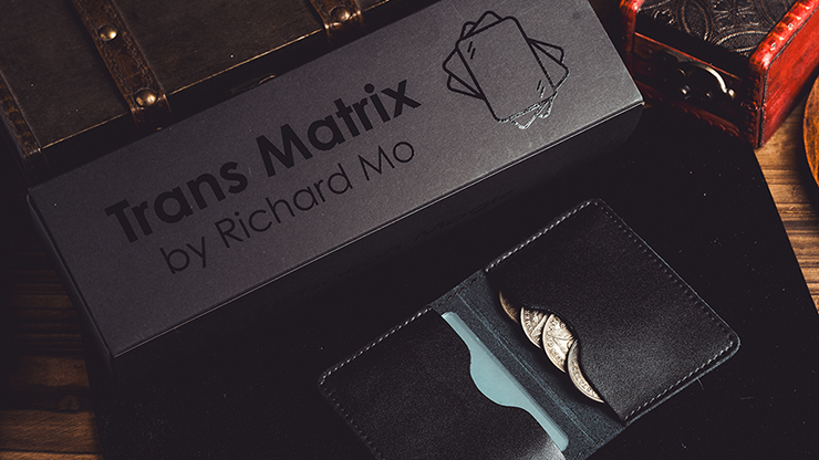 (image for) Richard Mo - Transparent Matrix (Half Dollar) 2024