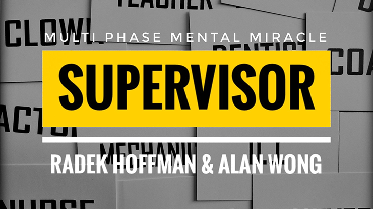 (image for) Radek Hoffman - Supervisor