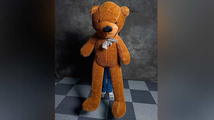 (image for) MS Magic - Teddy Bear Appearance