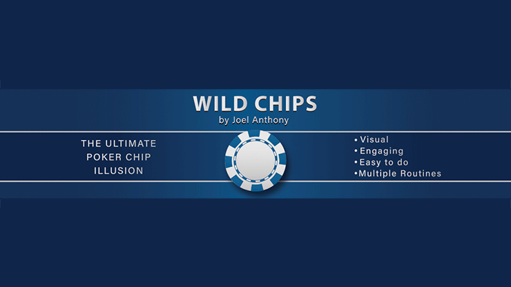 (image for) Joel Anthony - Wild Chips