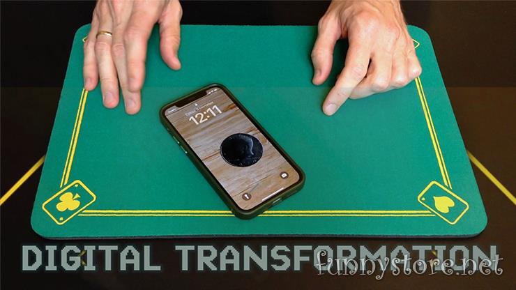 (image for) Sergey Zmeev - Digital Transformation