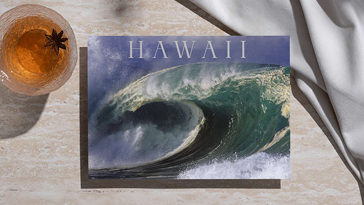 (image for) Zandman's Hawaii (PDF)