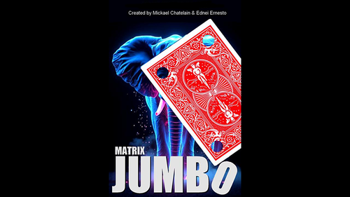 (image for) Mickael Chatelain - Matrix Revolution Jumbo