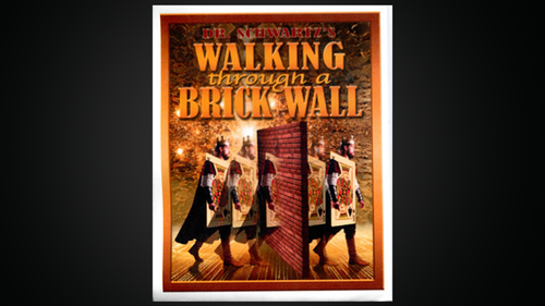 (image for) Martin Schwartz - Walking Thru a Brick Wall