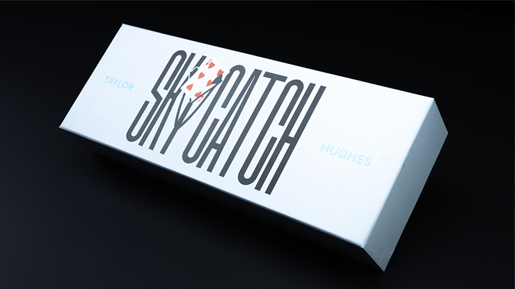 (image for) Taylor Hughes - Sky Catch