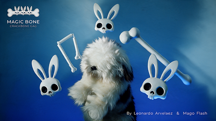 (image for) Leonardo Arvelaez - Magic Bones