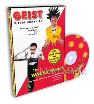 (image for) Pete Geist - Visual Comedian